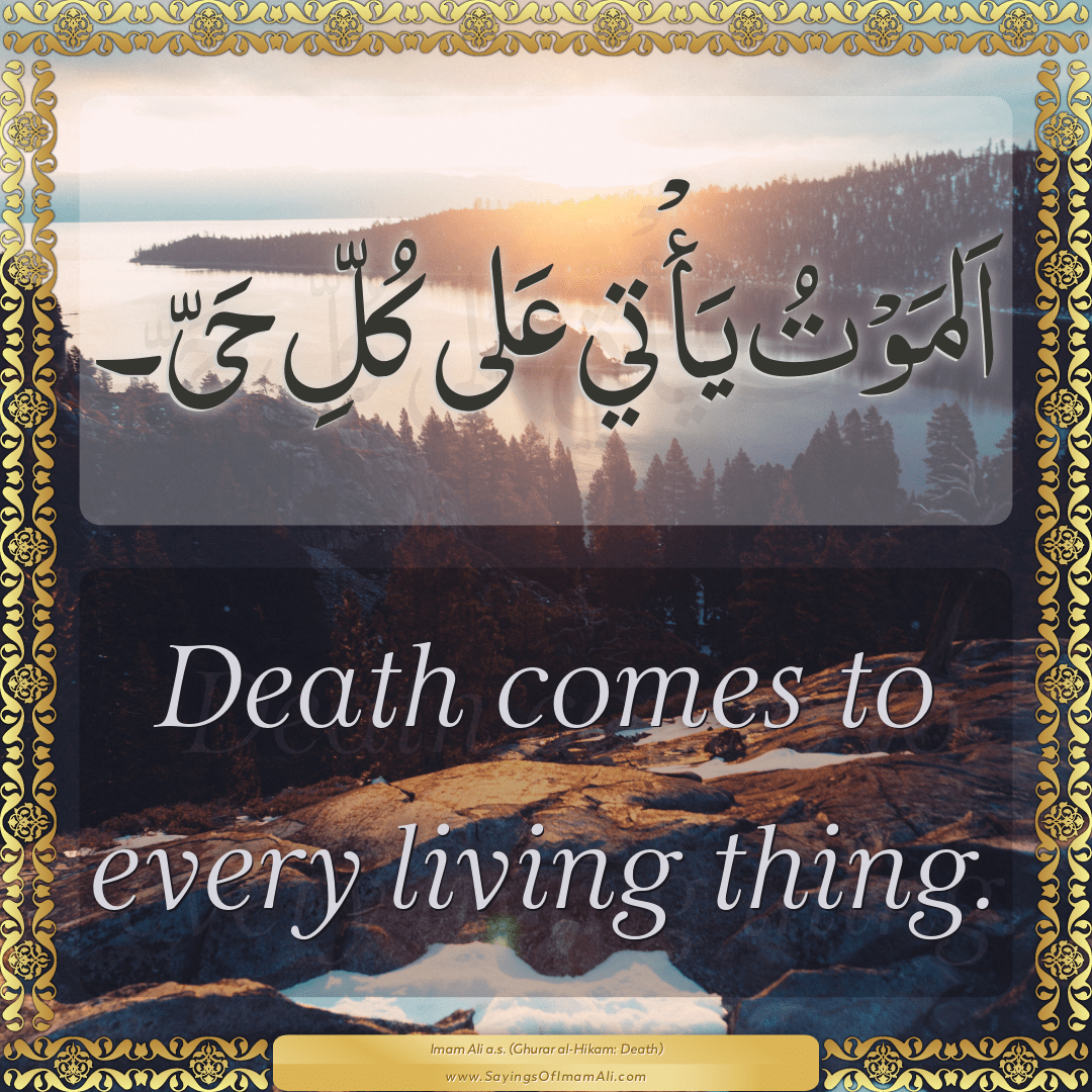 Death comes to every living thing.